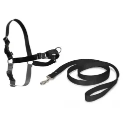 PetSafe Harnais Easy Walk®< Colliers, Harnais Et Licols