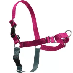 PetSafe Harnais Easy Walk®< Colliers, Harnais Et Licols