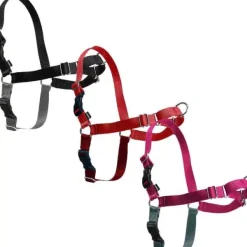 PetSafe Harnais Easy Walk®< Colliers, Harnais Et Licols