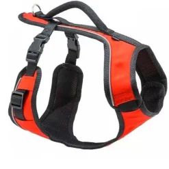 PetSafe Harnais Easysport< Colliers, Harnais Et Licols