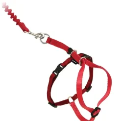 PetSafe Harnais Pour Chats Easy Walk< Colliers, Harnais Et Licols