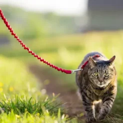 PetSafe Harnais Pour Chats Easy Walk< Colliers, Harnais Et Licols