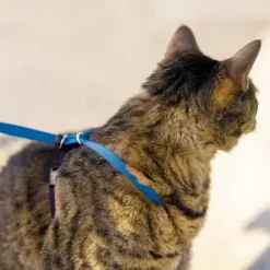 PetSafe Harnais Pour Chats Easy Walk< Colliers, Harnais Et Licols