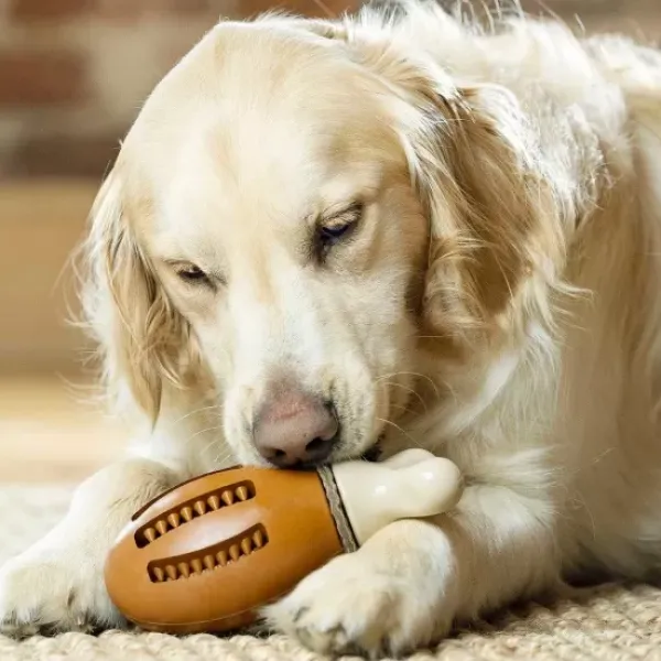 PetSafe Jouet Friandises Chompin' Chicken Pour Chien< Jouets Distributeurs De Friandises