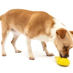 PetSafe Jouet Friandises Congelable Pour Chiens Frosty Cone< Jouets Distributeurs De Friandises