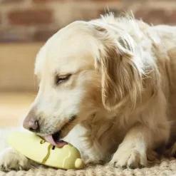 PetSafe Jouet Friandises Congelable Pour Chiens Frosty Cone< Jouets Distributeurs De Friandises