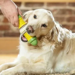 PetSafe Jouet Friandises Cravin' Corncob Pour Chien< Jouets Distributeurs De Friandises