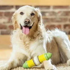 PetSafe Jouet Friandises Cravin' Corncob Pour Chien< Jouets Distributeurs De Friandises