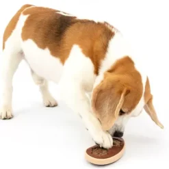 PetSafe Jouet Friandises, Steak< Jouets Distributeurs De Friandises