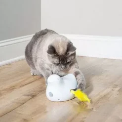 PetSafe Jouet Lectronique Pour Chats Peek-A-Bird< Jouets Pour Chats