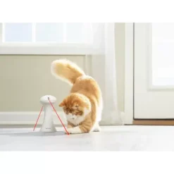 PetSafe Jouet Multi-Lasers< Jouets Pour Chats