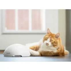 PetSafe Jouet Terrier Du Renard Jeu Casse-T Te Automatique Pour Chats< Jouets Pour Chats