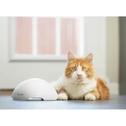PetSafe Jouet Terrier Du Renard Jeu Casse-T Te Automatique Pour Chats< Jouets Pour Chats