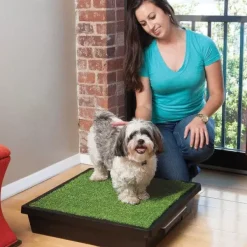 PetSafe Kit Jetable Pour Urine Pee-Pod Pour Toilettes Pet Loo (Pack De 7)< Bacs À Litière Et Formation