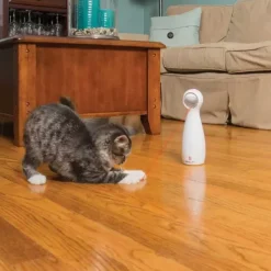 PetSafe Laser Automatique Bolt< Jouets Pour Chats