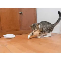 PetSafe Laser Automatique Roulant Laser Tail< Jouets Pour Chats