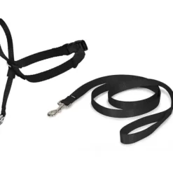 PetSafe Licol Easy Walk®< Colliers, Harnais Et Licols