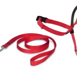 PetSafe Licol Easy Walk®< Colliers, Harnais Et Licols