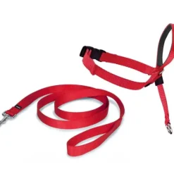 PetSafe Licol Easy Walk®< Colliers, Harnais Et Licols