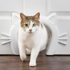 PetSafe Passage Pour Chat Cat Corridor< Chats