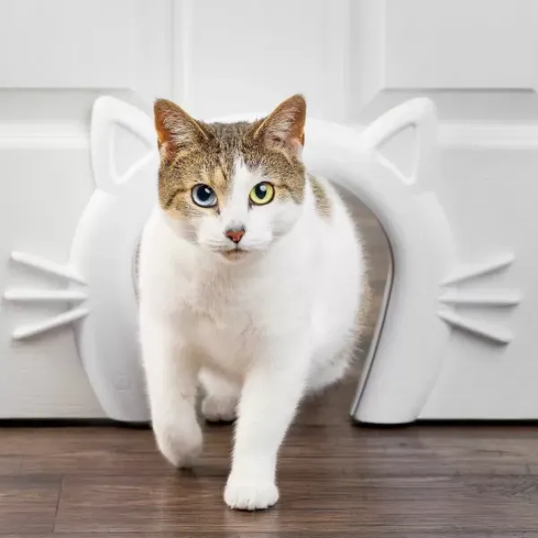 PetSafe Passage Pour Chat Cat Corridor< Chats