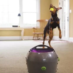 PetSafe ® Lanceur De Balle Automatique< Jouets Pour Chiens