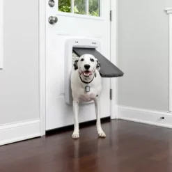 PetSafe Porte Connect E Pour Animaux Smartdoor< Chiens Moyens