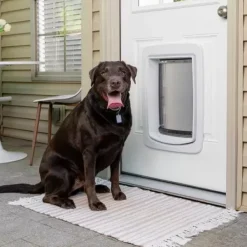 PetSafe Porte Connect E Pour Animaux Smartdoor< Chiens Moyens