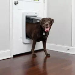 PetSafe Porte Connect E Pour Animaux Smartdoor< Grands Et Très Grands Chiens