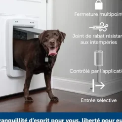 PetSafe Porte Connect E Pour Animaux Smartdoor< Gros Chats/Petits Chiens