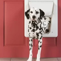 PetSafe Porte Lectronique Pour Animaux Smartdoor (Grand)< Grands Et Très Grands Chiens