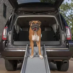 PetSafe Rampe T Lescopique Compacte Pour Chiens Happy Ride De ®< Accès Et Mobilité