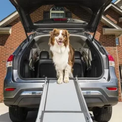 PetSafe Rampe T Lescopique Pour Chiens Happy Ride De ®< Voyage En Voiture