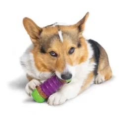 PetSafe Recharges Pour Friandises De Forme Circulaire Ultra- Paisses Busy Buddy®< Jouets Pour Animaux De Compagnie