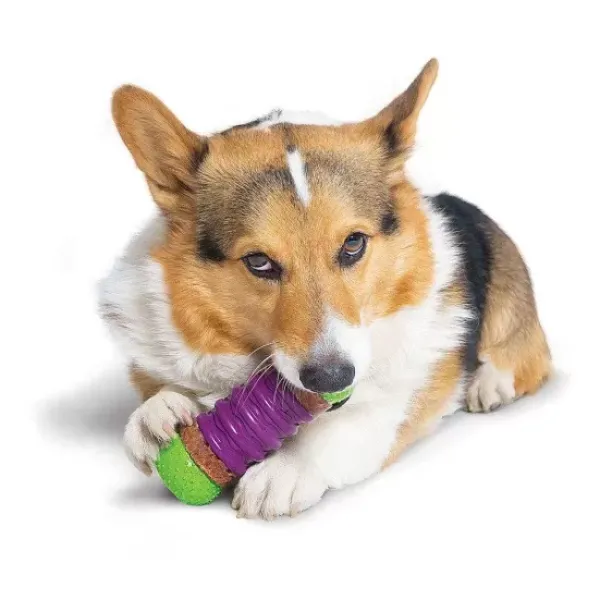 PetSafe Recharges Pour Friandises De Forme Circulaire Ultra- Paisses Busy Buddy®< Jouets Pour Animaux De Compagnie