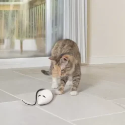 PetSafe Rolorat Jeu Casse-T Te Automatique Pour Chats< Jouets Pour Chats