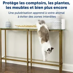 PetSafe Spray R Pulsif Automatique Pour Animaux Ssscat< Systèmes De Contournement