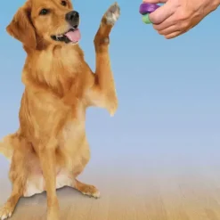 PetSafe T L Commande De Dressage Clik-R< Clickers