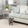 PetSafe Tapis D'Entra Nement D'Int Rieur Scatmat< Systèmes De Contournement