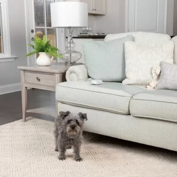 PetSafe Tapis D'Entra Nement D'Int Rieur Scatmat< Systèmes De Contournement